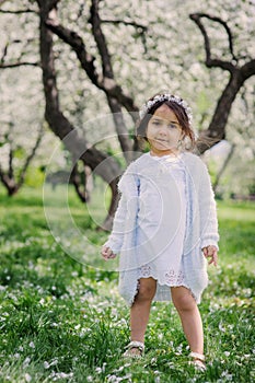 Adorable toddler child girl in light blue dressy outfit walking and playing in blooming spring garden