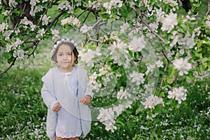 Adorable toddler child girl in light blue dressy outfit walking and playing in blooming spring garden photo