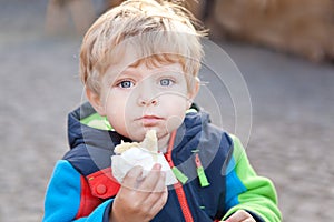 Adorable toddler eating bread outdoor