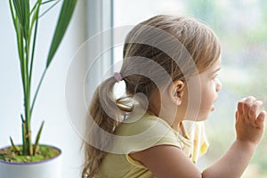 Adorable toddler girl attaching rainbow drawing to window glass as sign of hope. Creative games for kids staying at home