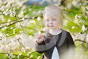 Adorable toddler girl in blooming cherry garden