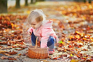 Adorable toddler girl picking chestnuts in Tuileries garden in Paris, France