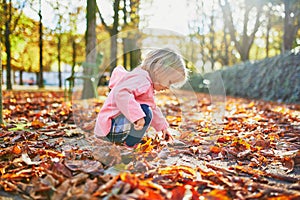 Adorable toddler girl picking chestnuts in Tuileries garden in Paris, France