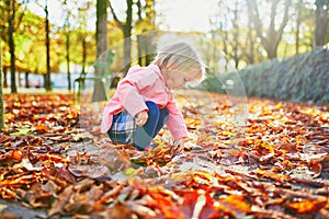 Adorable toddler girl picking chestnuts in Tuileries garden in Paris