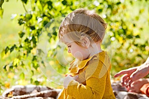 Adorable toddler girl sitting on the ground and having picnic in autumn park. Happy kid enjoying fall day. Outdoor activites for