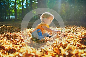 Adorable toddler girl sitting on the ground in large heap of fallen leaves