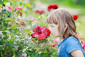 Adorable toddler girl smelling rose flowers