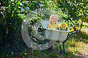 Adorable toddler girl in straw hat sitting in wheelbarrow on a farm