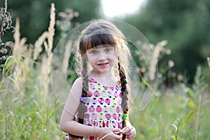 Adorable toddler girl in summer field