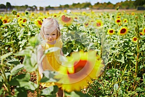 Adorable toddler girl on sunflower field