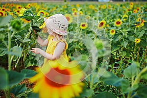 Adorable toddler girl on sunflower field