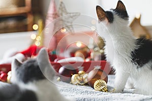Adorable two kittens playing with christmas star, tree decorations and ornaments in lights