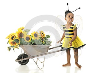 Adorable Worker Bee