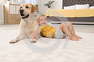 Adorable yellow labrador retriever and little boy