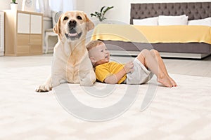 Adorable yellow labrador retriever and little boy