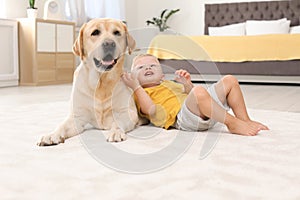 Adorable yellow labrador retriever and little boy