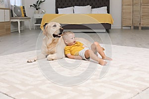 Adorable yellow labrador retriever and little boy