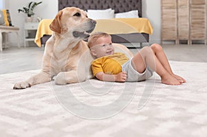 Adorable yellow labrador retriever and little boy