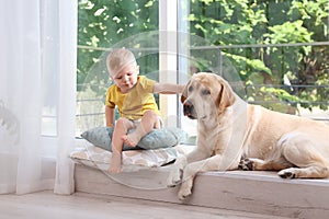 Adorable yellow labrador retriever and little boy