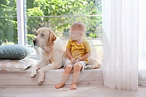 Adorable yellow labrador retriever and little boy