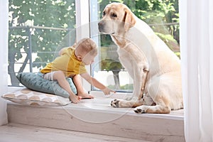 Adorable yellow labrador retriever and little boy