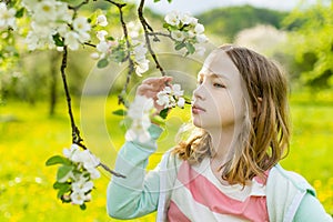 Adorable young girl in blooming apple tree garden on beautiful spring day