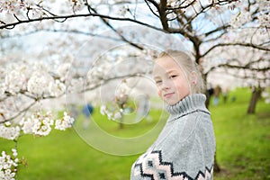 Adorable young girl in blooming cherry tree garden on beautiful spring day. Cute child picking fresh cherry tree flowers at spring