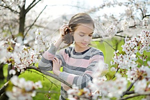 Adorable young girl in blooming cherry tree garden on beautiful spring day. Cute child picking fresh cherry tree flowers at spring