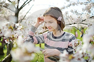 Adorable young girl in blooming cherry tree garden on beautiful spring day. Cute child picking fresh cherry tree flowers at spring