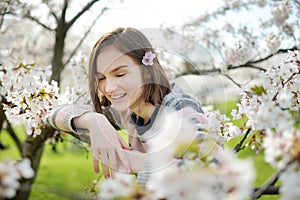 Adorable young girl in blooming cherry tree garden on beautiful spring day. Cute child picking fresh cherry tree flowers at spring