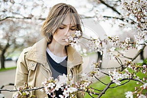 Adorable young girl in blooming cherry tree garden on beautiful spring day. Cute child picking fresh cherry tree flowers at spring