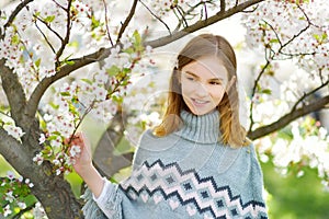 Adorable young girl in blooming cherry tree garden on beautiful spring day. Cute child picking fresh cherry tree flowers at spring