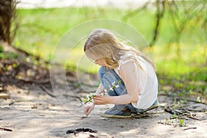 Adorable young girl in blooming cherry tree garden on beautiful spring day. Cute child picking fresh cherry tree flowers at spring