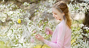 Adorable young girl having fun in blooming cherry garden on beautiful spring day. Kid hanging Easter eggs on blossoming cherry