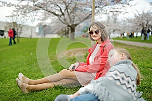 Adorable young girls in blooming cherry tree garden on beautiful spring day. Cute children admiring fresh cherry tree flowers at