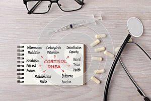 Adrenal Cortisol Levels Concept