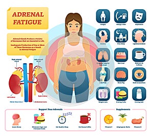 Adrenal fatigue vector illustration. List of glands disease symptoms.