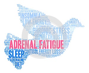 Adrenal Fatigue Word Cloud