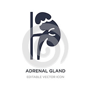 adrenal gland icon on white background. Simple element illustration from Medical concept