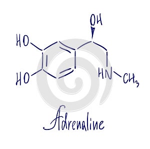 Adrenaline chemical structure. Vector illustration Hand drawn.
