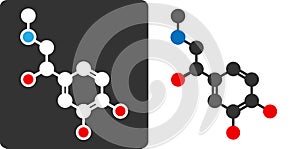 Adrenaline (epinephrin, adrenalin) molecule, flat icon style. Hormone and neurotransmitter. Atoms shown as color-coded circles (