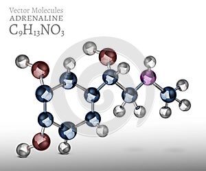 Adrenaline Molecule Image