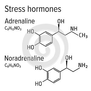 Adrenaline and noradrenaline stress harmones vector chemical formulas