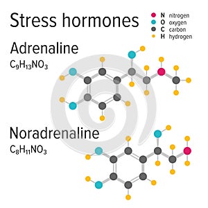 Adrenaline and noradrenaline stress harmones vector chemical formulas photo