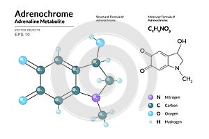 Adrenochrome. Adrenaline Metabolite. Structural Chemical Formula and Molecule 3d Model. Atoms with Color Coding. Vector