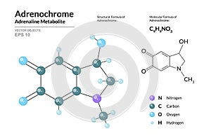 Adrenochrome. Adrenaline Metabolite. Structural Chemical Formula and Molecule 3d Model. Atoms with Color Coding. Vector photo