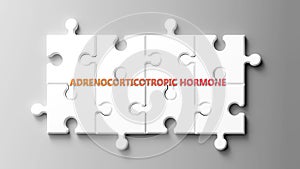 Adrenocorticotropic Hormone complex like a puzzle - pictured as word adrenocorticotropic hormone on a puzzle p photo