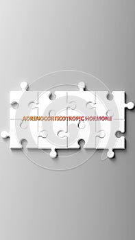 Adrenocorticotropic Hormone complex like a puzzle - pictured as word adrenocorticotropic hormone on a puzzle p photo