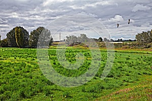 Adria, Rovigo, Veneto, Italy: landscape of the countryside in th