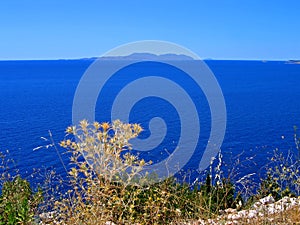 Adriatic clarity, Croatia